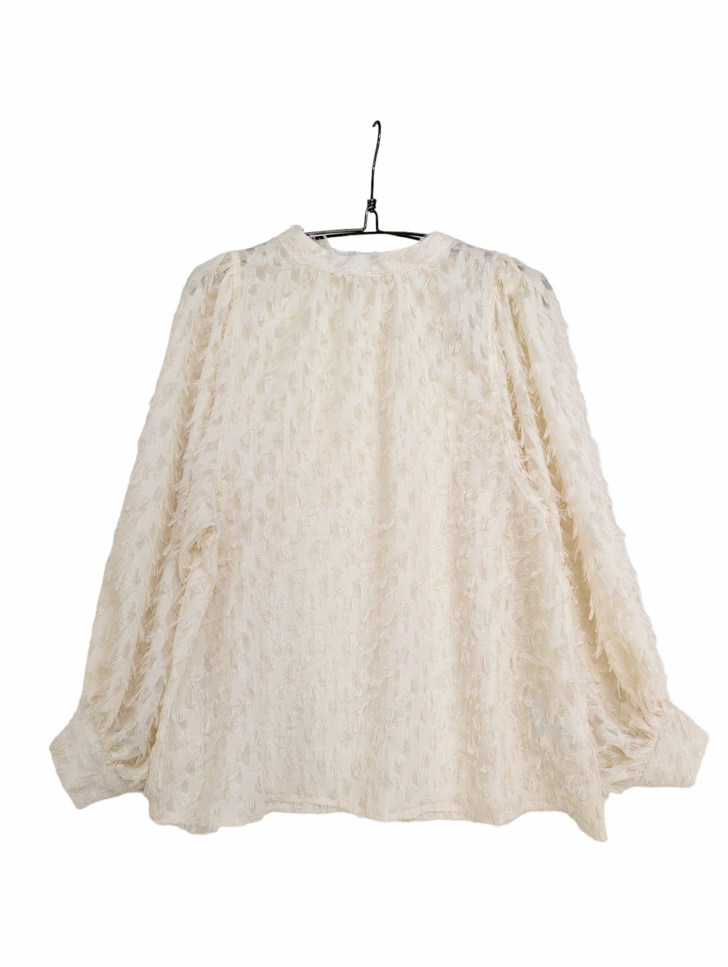 [2 colors] Sheer Fringe Voluminous Sleeve Top